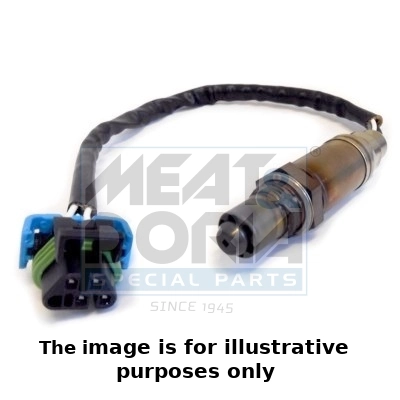 Oxygen Sensor